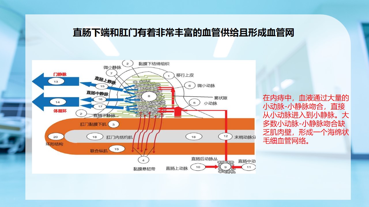 幻灯片12.jpg